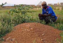 Miners’ Deaths In Niger: Families Demand Justice A man praying at a grave in Nigeria after the death of his son, one of 37 artisanal miners who died in custody.